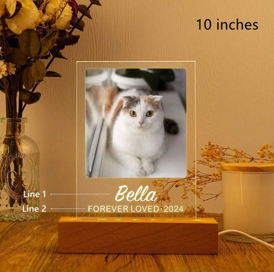 139199317-5